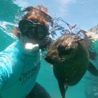 Cruises, Sailing & Water Tours