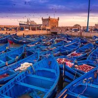 Full-day Tours
