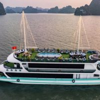 Day Cruises