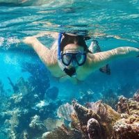 Cruises, Sailing & Water Tours