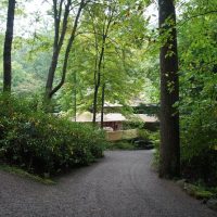 Shore Excursions