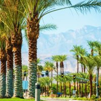 Bus & Minivan Tours