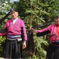 Cultural & Theme Tours