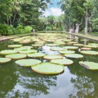 Cultural Tours