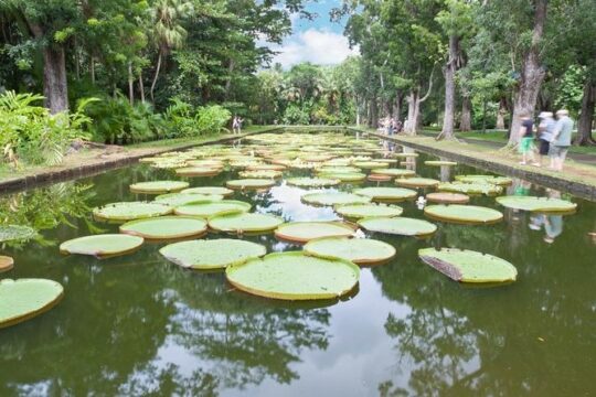 New Year’s Day long weekend in Port Louis