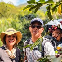 Day Trips & Excursions