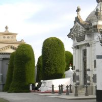 Cultural & Theme Tours