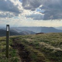 Day Trips & Excursions
