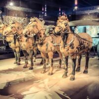 Luxury Tours