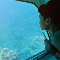 Glass Bottom Boat Tours