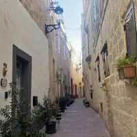 City Tours