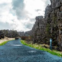 Bus & Minivan Tours