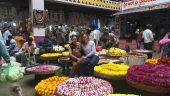 Amazing cultural tour and tour guide