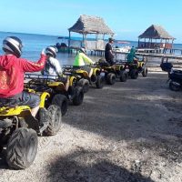 Shore Excursions