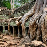 Bus & Minivan Tours