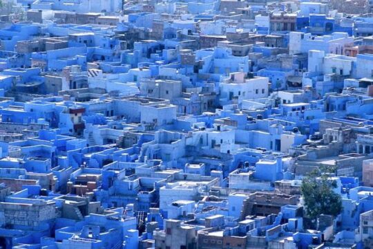 New Year’s Day long weekend in Jodhpur