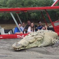 Day Trips & Excursions