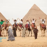 Ports of Call Tours