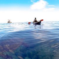 Holiday & Seasonal Tours