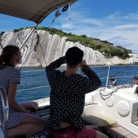 Boat Tours