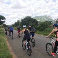 Day Trips & Excursions