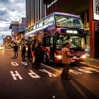 Cultural Tours