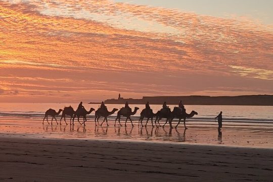New Year’s Eve in Essaouira