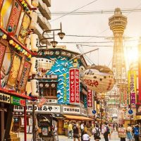 Tours & Sightseeing
