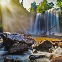 Half-day Tours