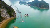 Ha Long Bay Tour
