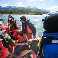 Cruises, Sailing & Water Tours
