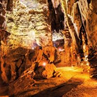 Cultural Tours