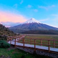 Day Trips & Excursions