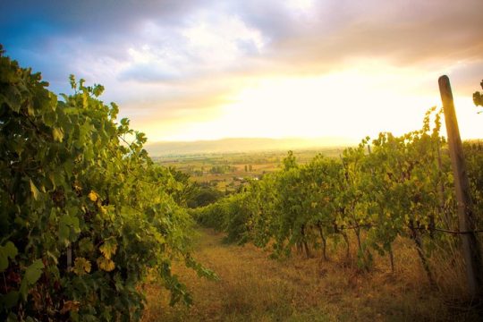 New Year’s Day long weekend in Umbria