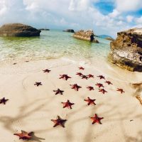 Day Trips & Excursions