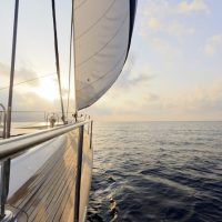 Boat Tours