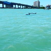 Private Sightseeing Tours