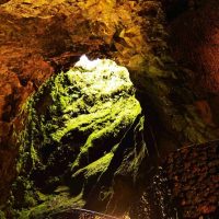 Shore Excursions