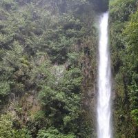 Tours & Sightseeing