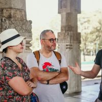 Half-day Tours