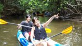 It was fun to canoe mangroves!