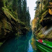 Nature & Wildlife