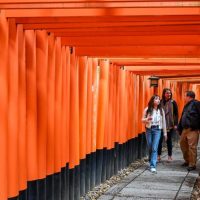 Private Sightseeing Tours