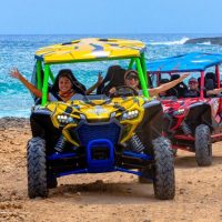 Cruises, Sailing & Water Tours