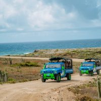 Shore Excursions