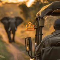 Day Trips & Excursions