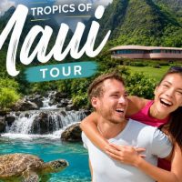 Plantation Tours