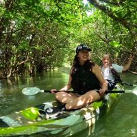 Ports of Call Tours