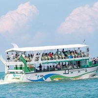 Shore Excursions