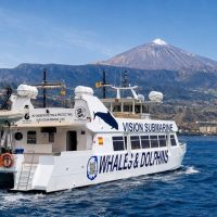 Eco Tours